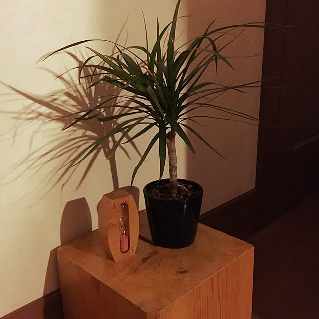 Takujiさんの実例写真