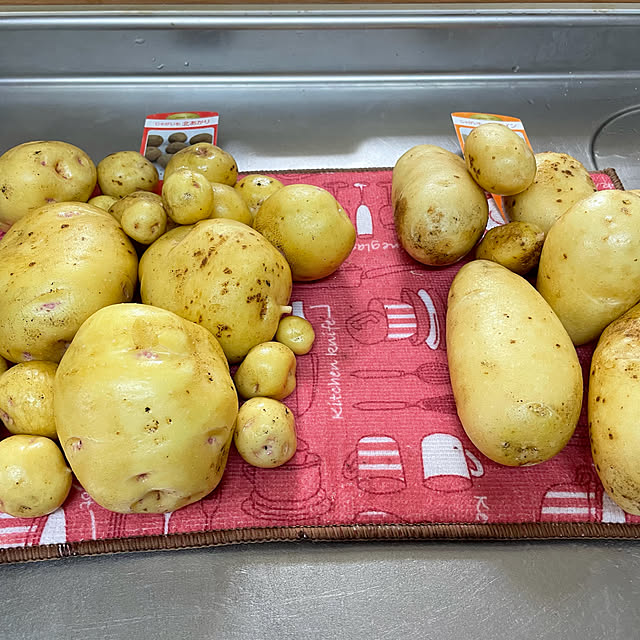kappaさんの実例写真