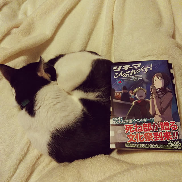 futukoさんの実例写真