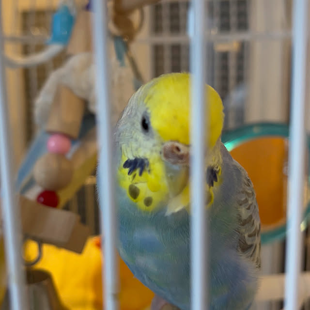 Atsukoさんの部屋