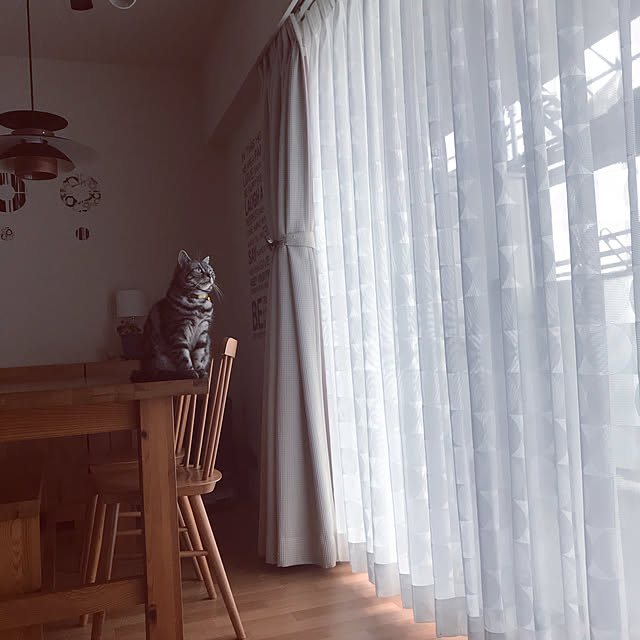 hiyupan88さんの実例写真