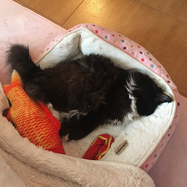 kanaさんの実例写真