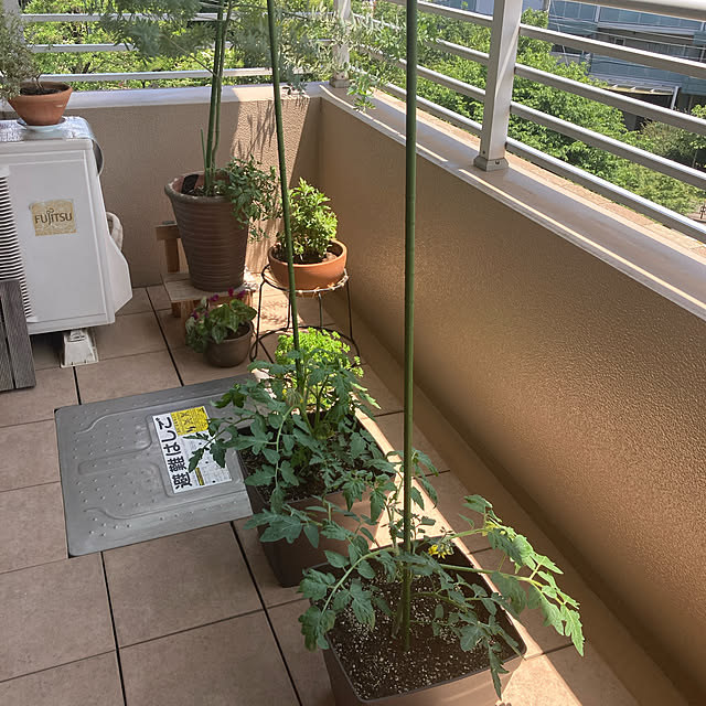 wwwさんの実例写真