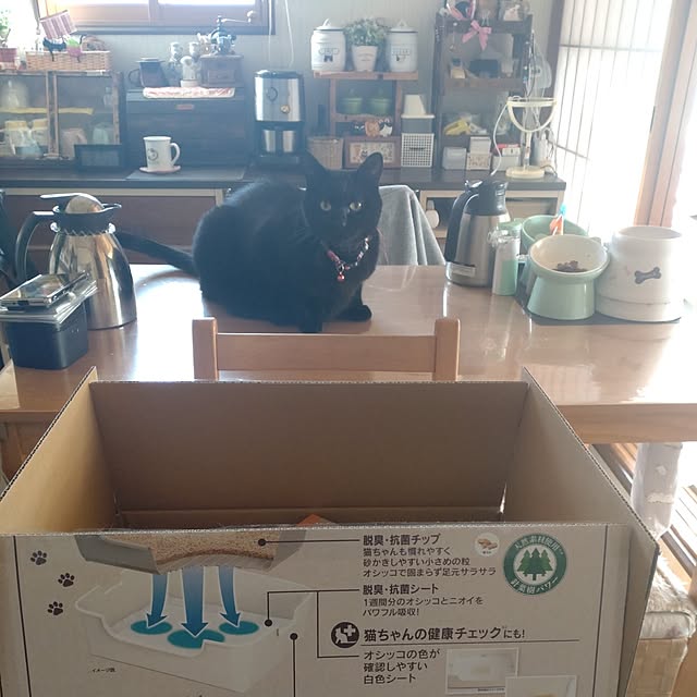 mntcさんの部屋