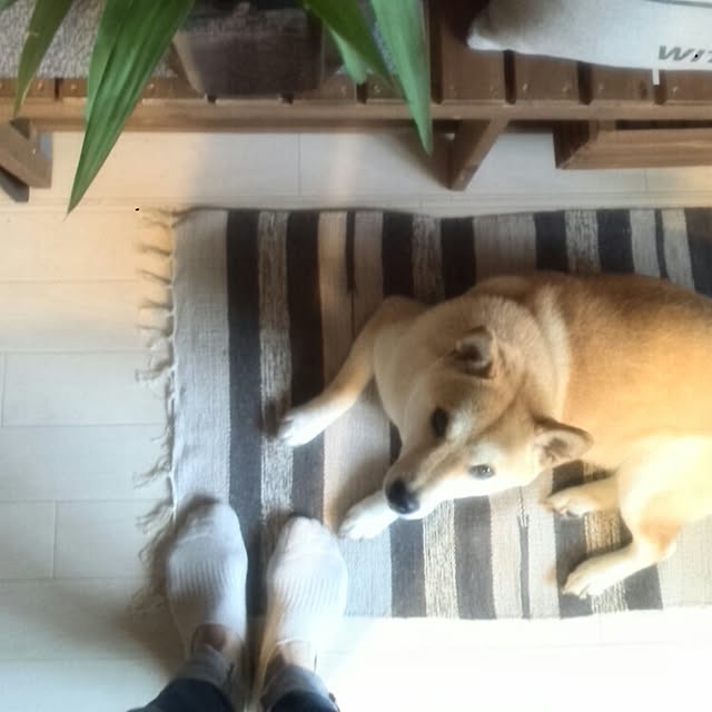 kさんの実例写真