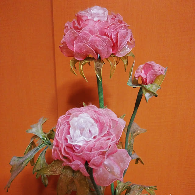 kaochanさんの実例写真