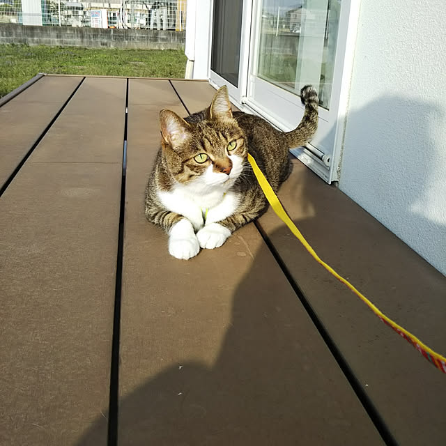shiiiさんの実例写真