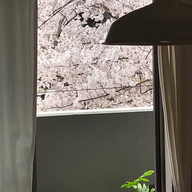 139streetさんの実例写真