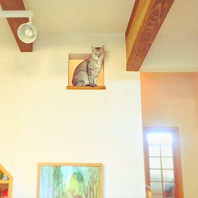 Akariさんの実例写真
