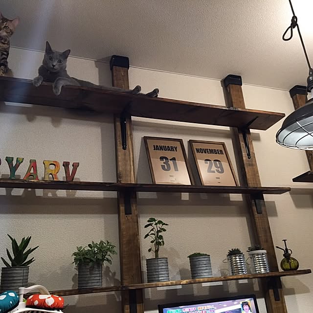 実例写真