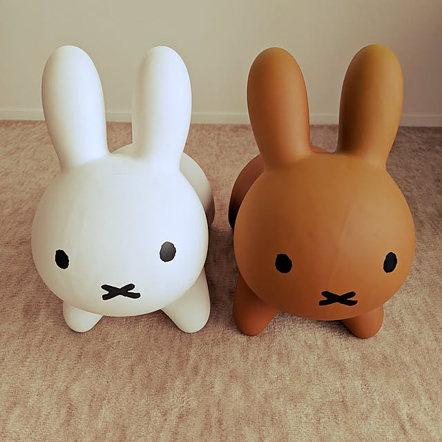 SENさんの実例写真