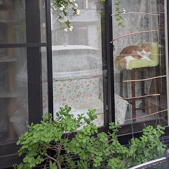 mori_6_12さんの実例写真