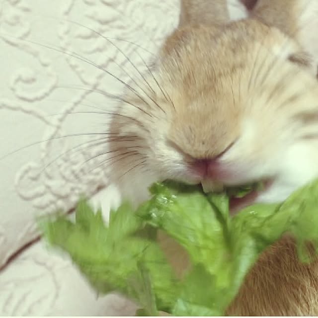 naさんの実例写真