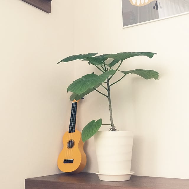 orangeteaさんの実例写真