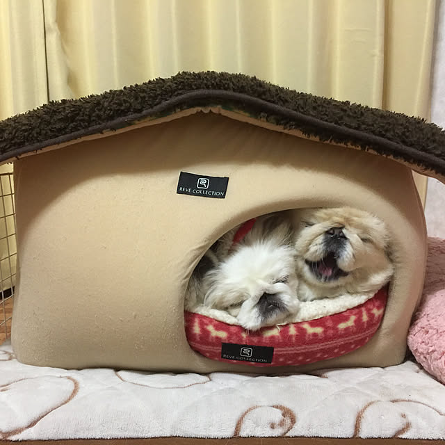 peko226さんの実例写真