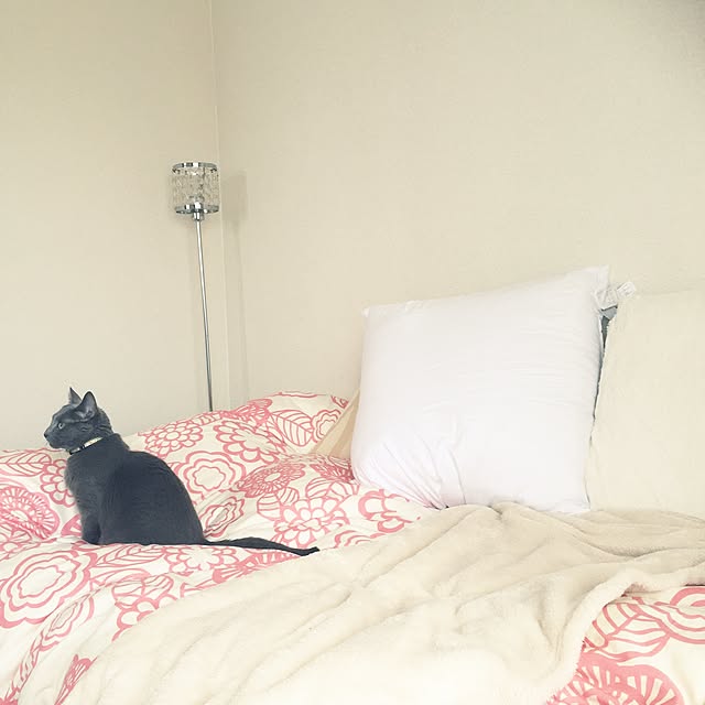 maikyさんの実例写真