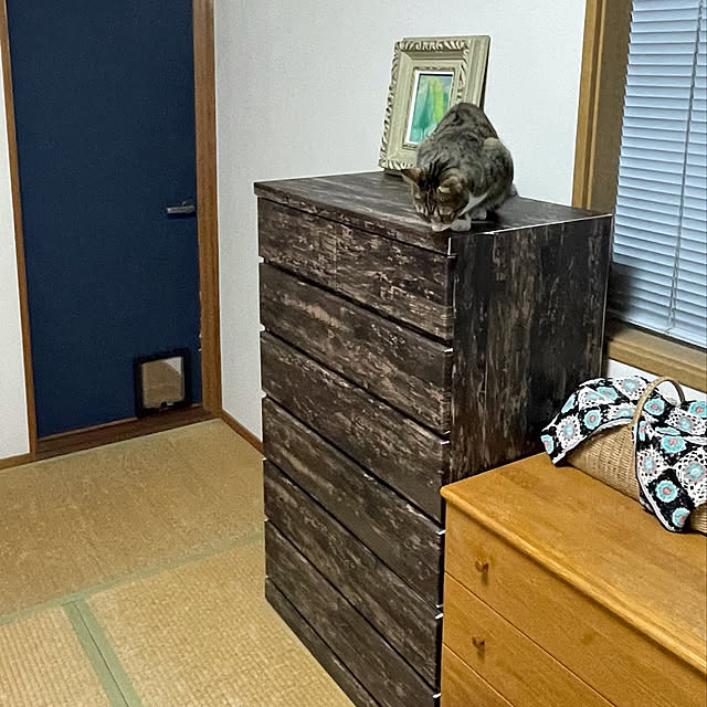 nobikoさんの実例写真