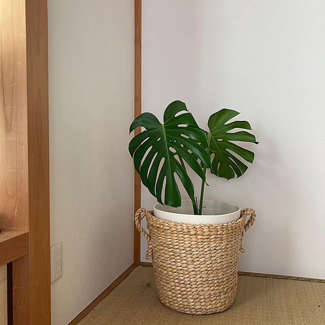 mamaさんの実例写真