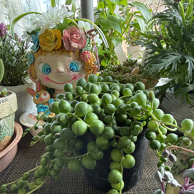 Aqettyさんの実例写真