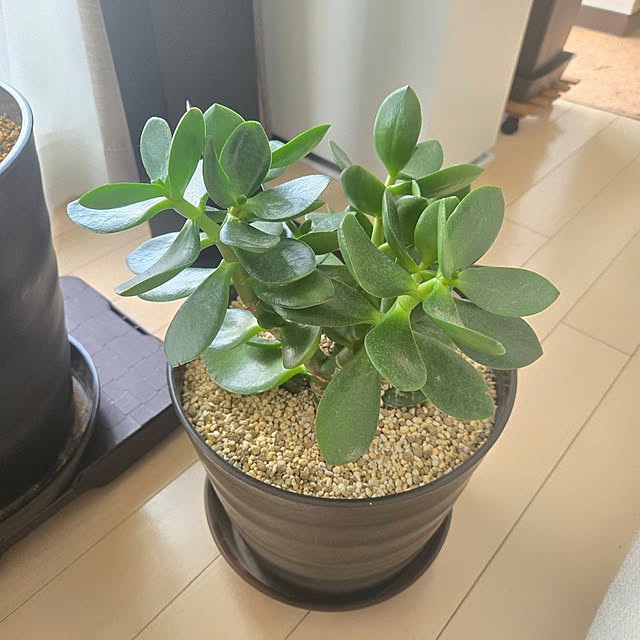 love1017さんの部屋