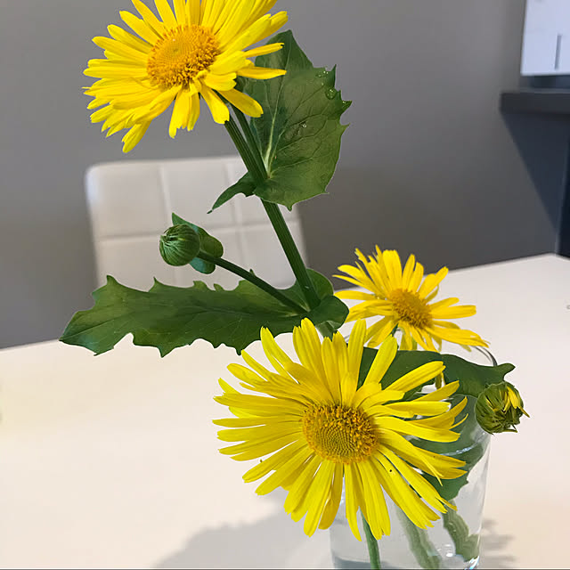 Mikiさんの実例写真