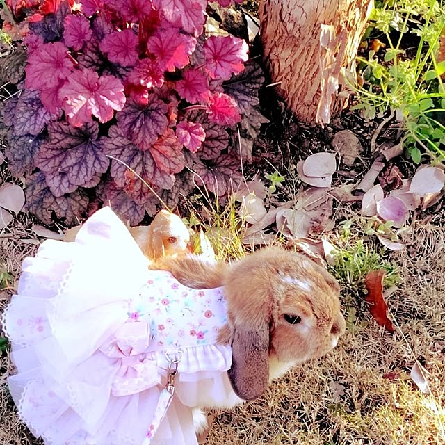 fuさんの実例写真