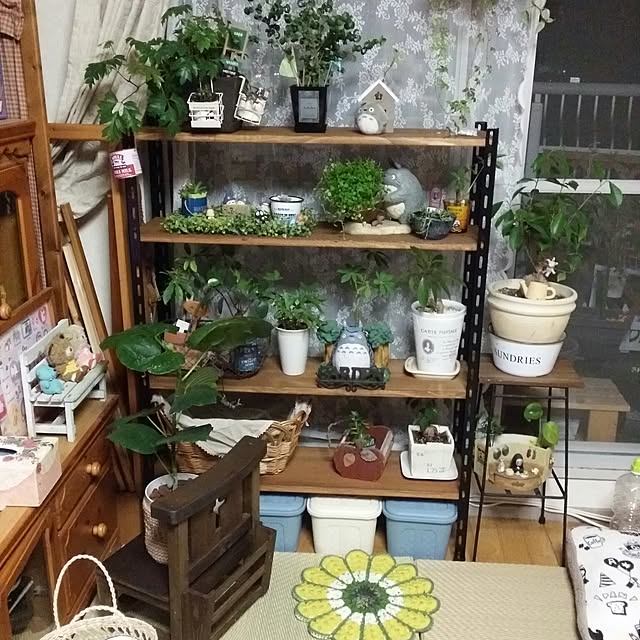 DayRee.さんの実例写真