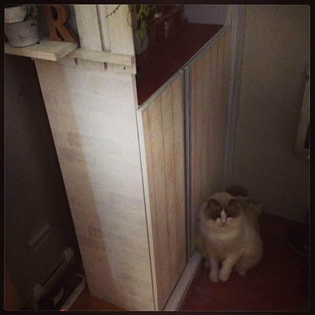 runtenさんの実例写真