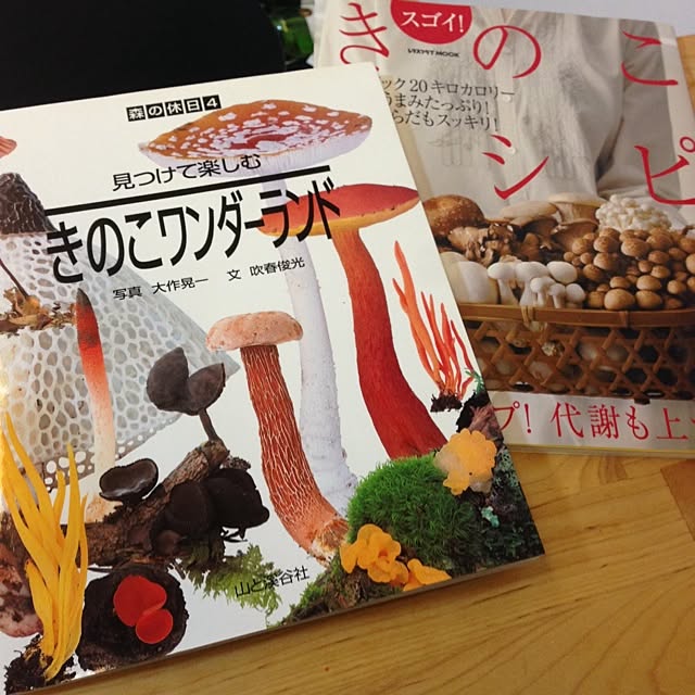 nabiさんの実例写真