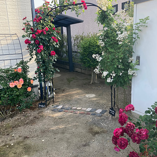 mamiさんの部屋