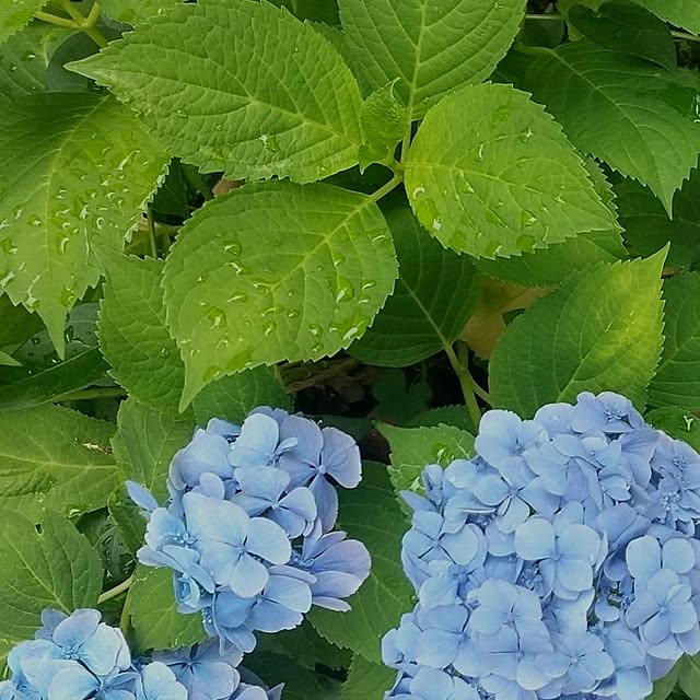 Rさんの部屋