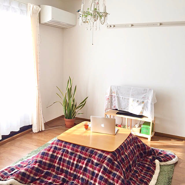 237さんの実例写真