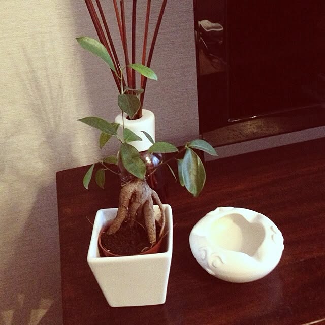 Noriyasuさんの実例写真