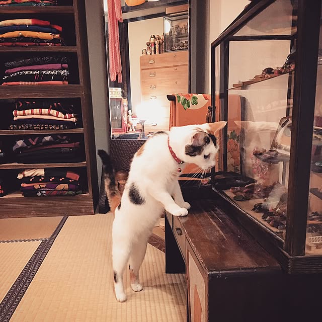Hazukiさんの実例写真