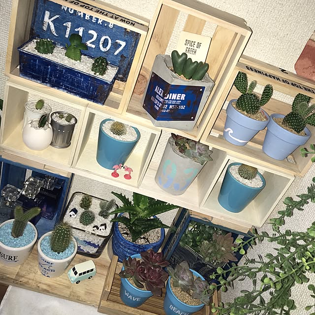 rk5kuuさんの実例写真