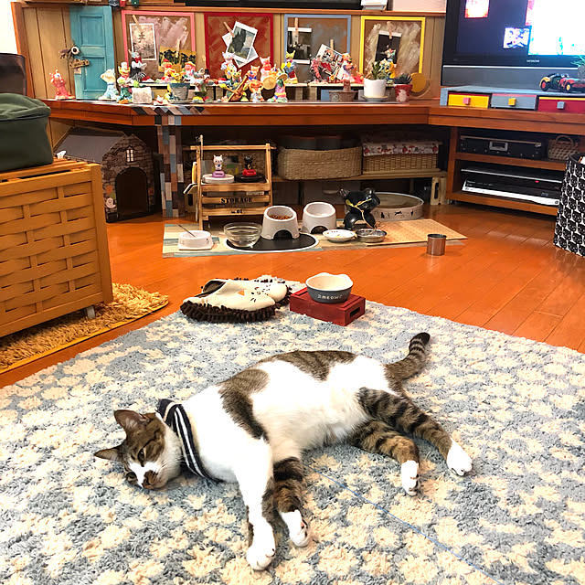 jijiさんの実例写真