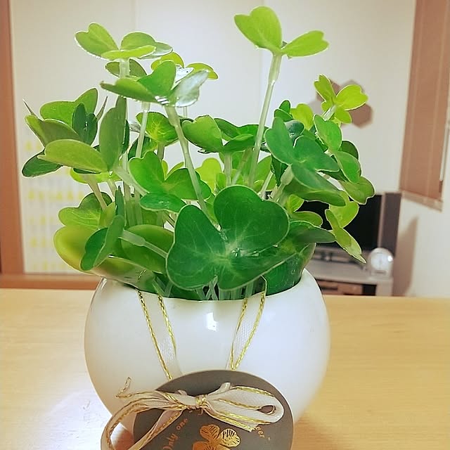 iku-yoneさんの部屋