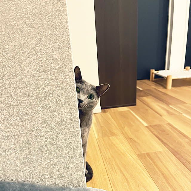 kyonさんの部屋