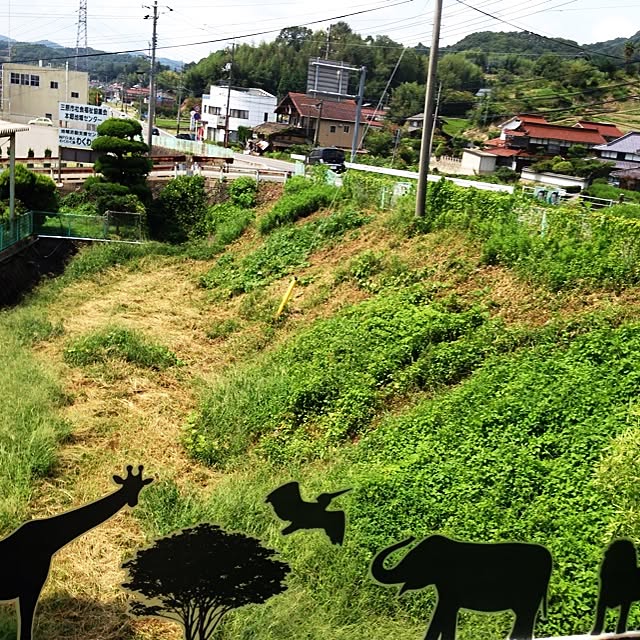 chamaさんの実例写真