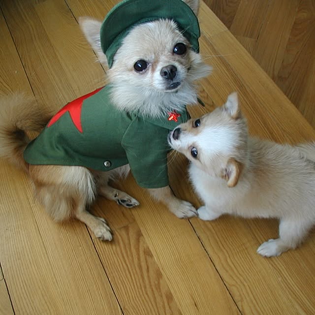 Sangoさんの実例写真