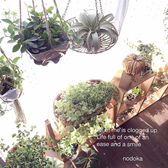 nodokaさんの実例写真