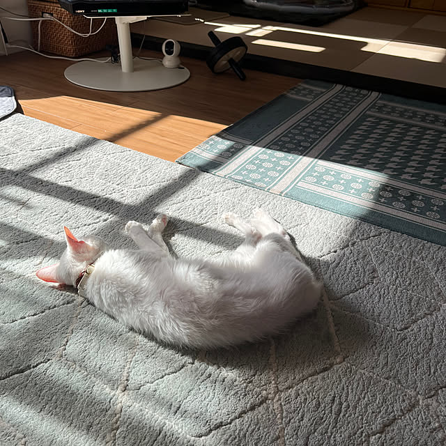 hanaさんの実例写真