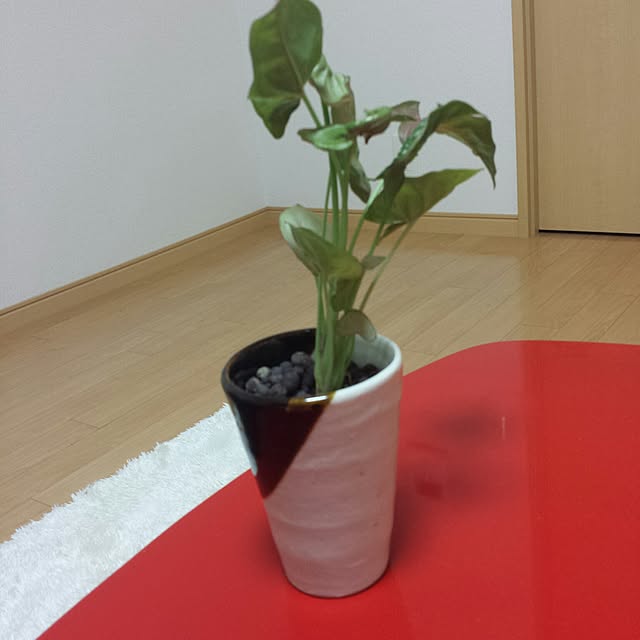 greatdin0120さんの実例写真