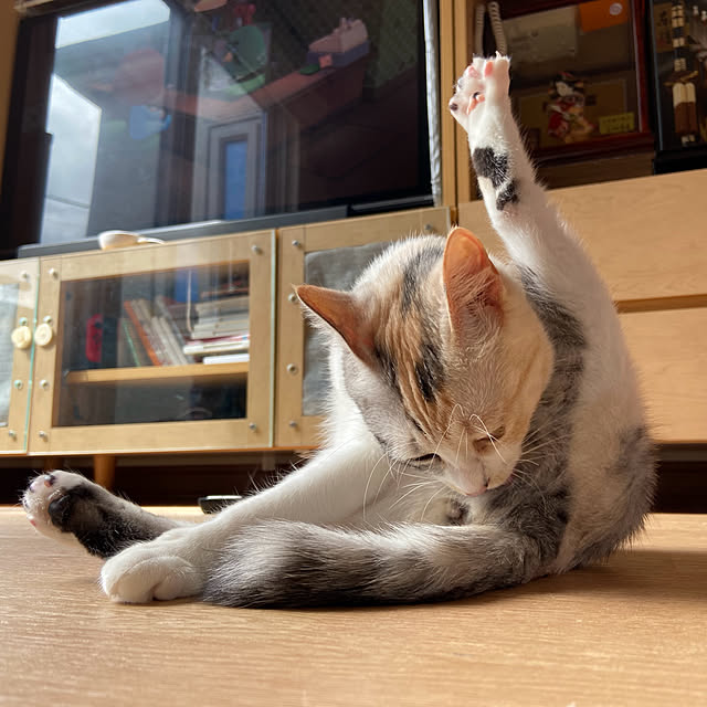 hansho.sさんの実例写真