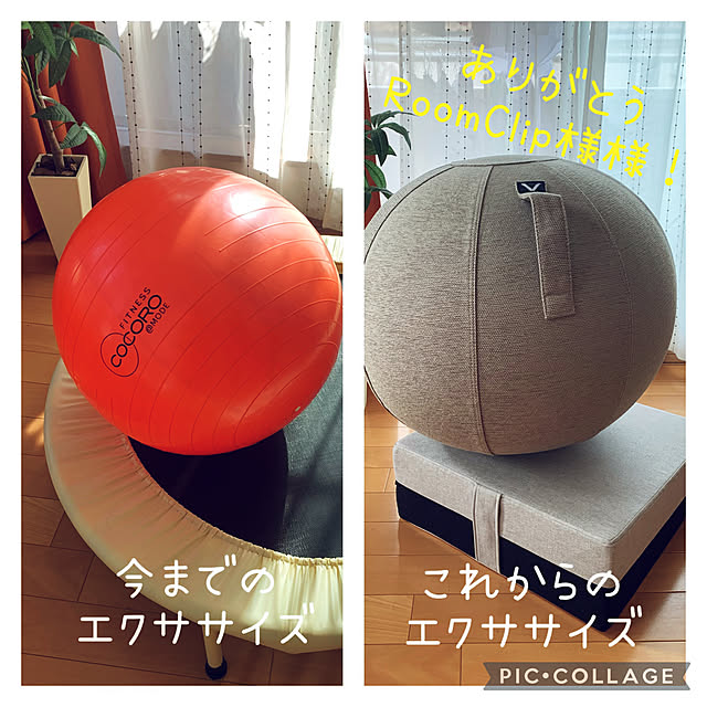 kaerunoameriさんの実例写真