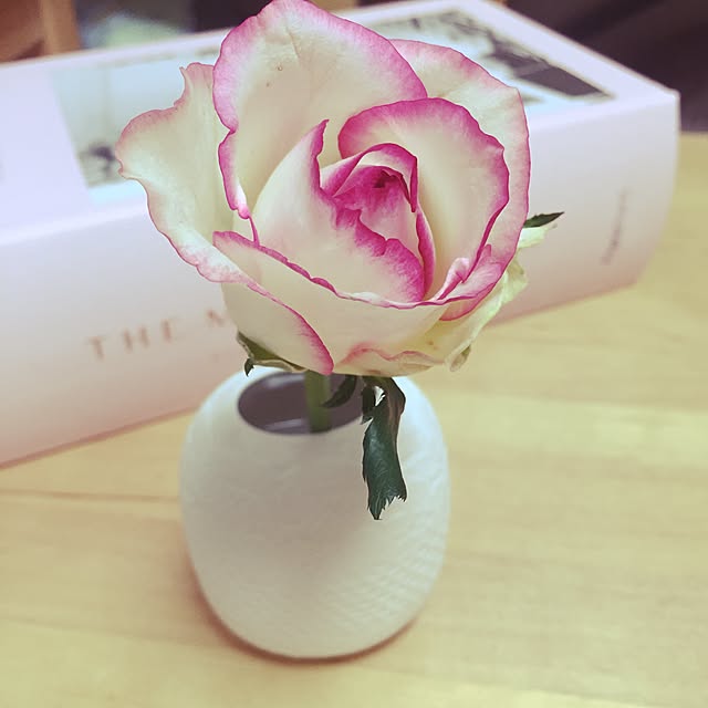 minnyさんの実例写真
