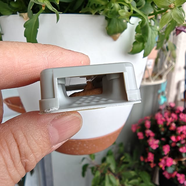 mariaさんの部屋