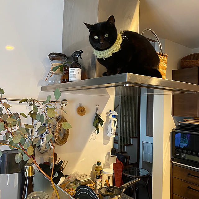 taakoさんの部屋