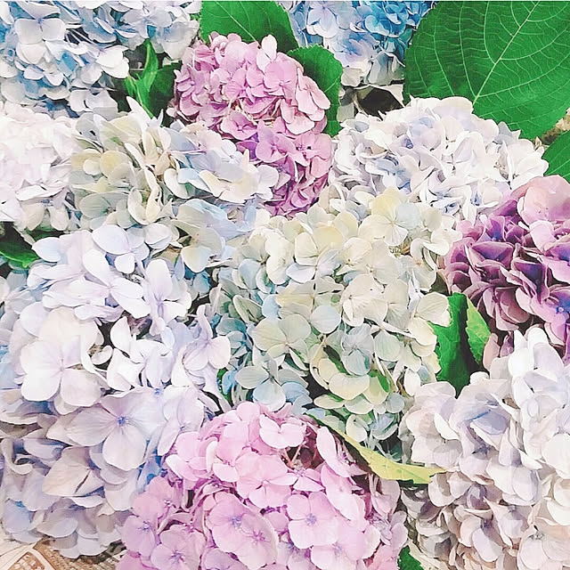 rumako32さんの実例写真