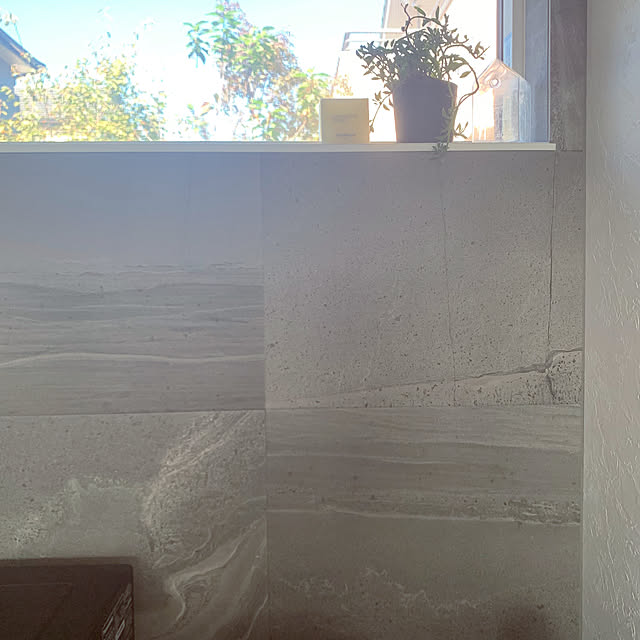 Minteaさんの部屋